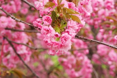 金华婺城区线下个人借款平台一站式服务，轻松解决资金难题