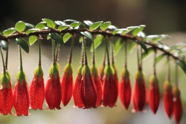 金华婺城区零用贷短借：轻松解决临时资金需求