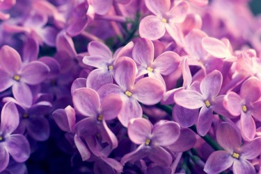 金华婺城区企业急用钱贷款攻略：快速融资解燃眉之急